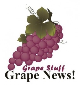 Grape News Logo